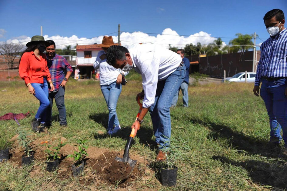 Preservó Semaccdet durante 2020 hábitat de polinizadores en Michoacán