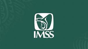 IMSS ha pagado Bono COVID a 161 mil 807 trabajadores de unidades  hospitalarias que atienden la pandemia