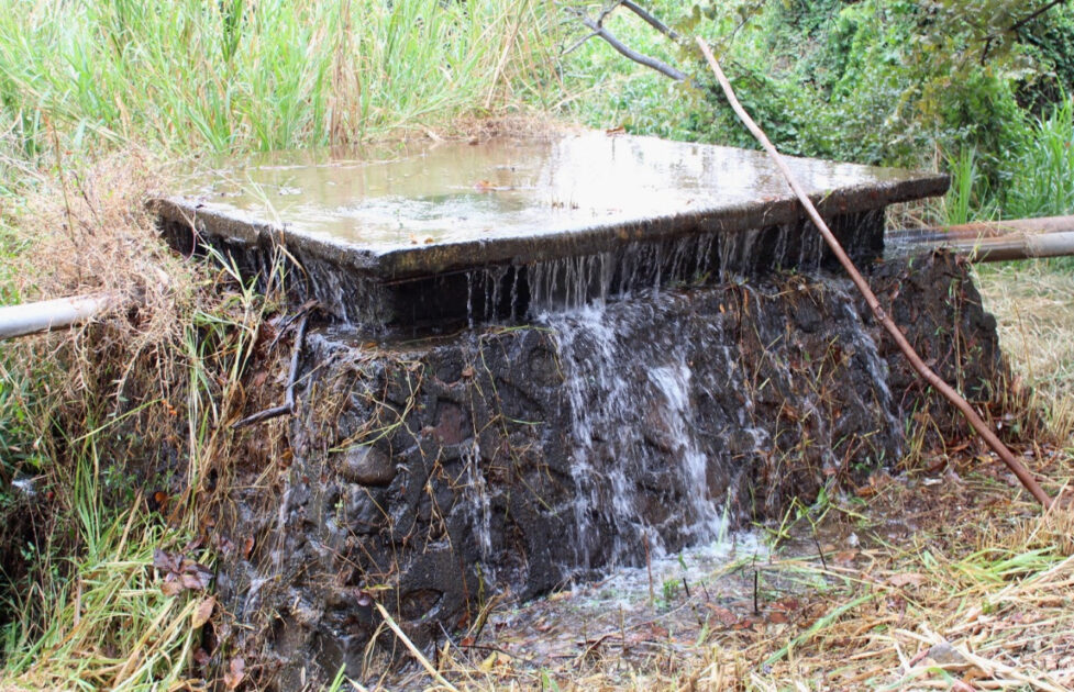 Escasez de agua exige que su cuidado sea permanente