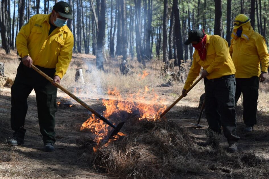 Inician las jornadas de prevención contra incendios forestales