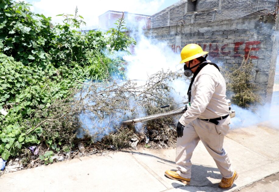 Mantiene SSM acciones de saneamiento para combatir el dengue en el estado