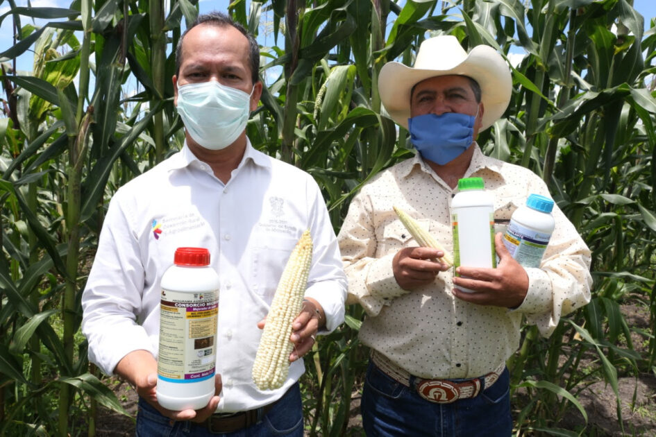 Agricultura Sustentable, el programa que revoluciona el agro michoacano     (Fotonota)