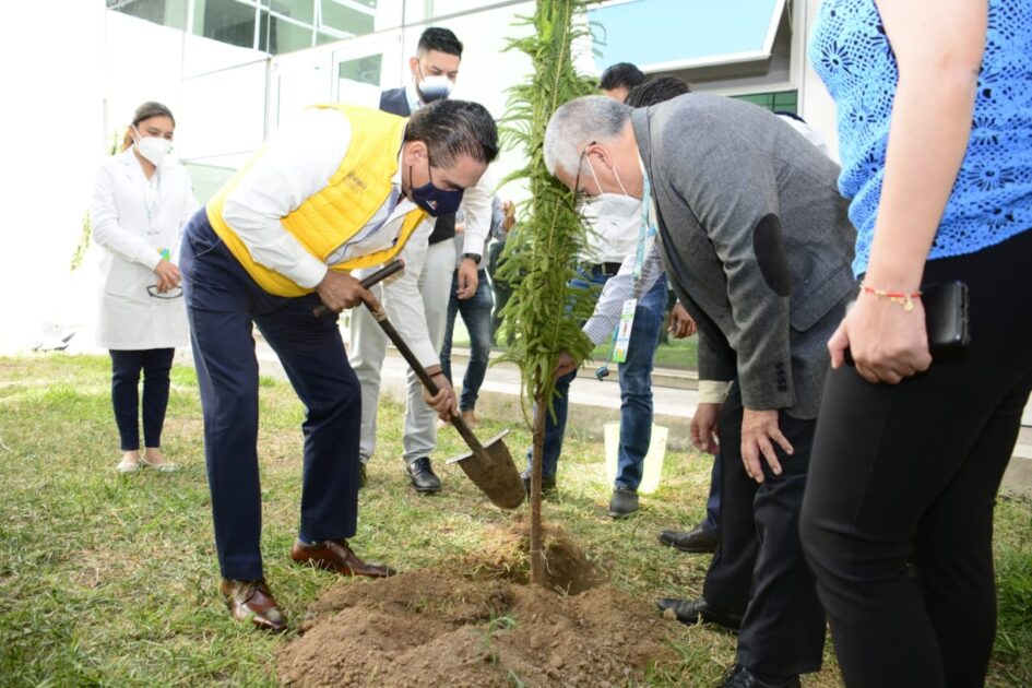 Planta Gobernador árboles en memoria de quienes perdieron la vida por COVID-19