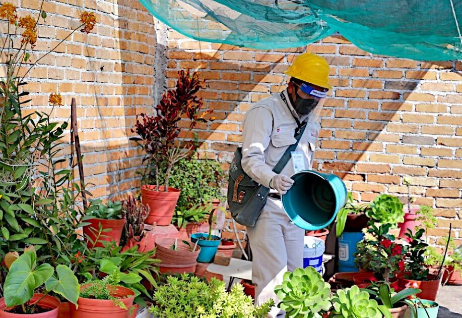 Registra Michoacán reducción del 42.8% de casos de dengue respecto a 2020