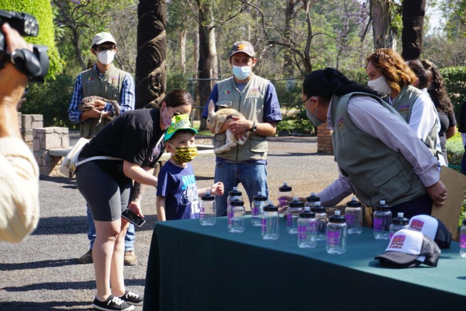 Con éxito, la reapertura del Zoológico de Morelia