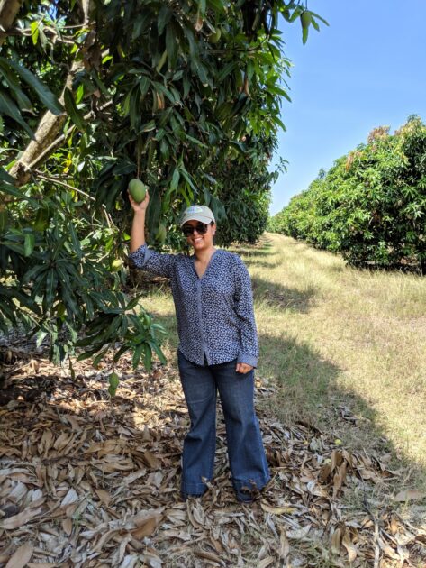 Declaraciones de Marissa Khan, Gerente Senior de Marketing de la National Mango Board