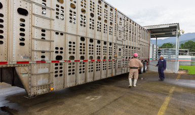 Refuerzan Agricultura y estados inspección sanitaria para evitar entrada de plagas al país