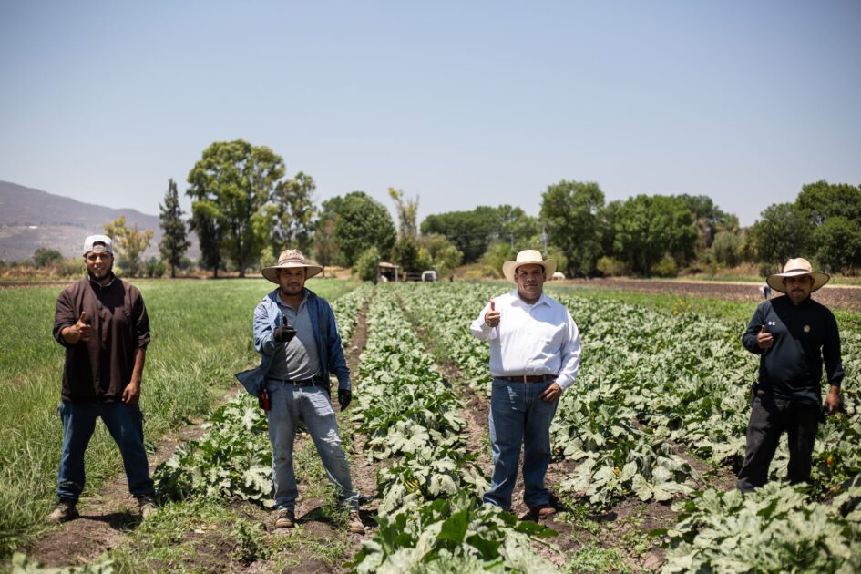 Productores tarimbarenses recibirán directamente los beneficios del campo: Bladimir González
