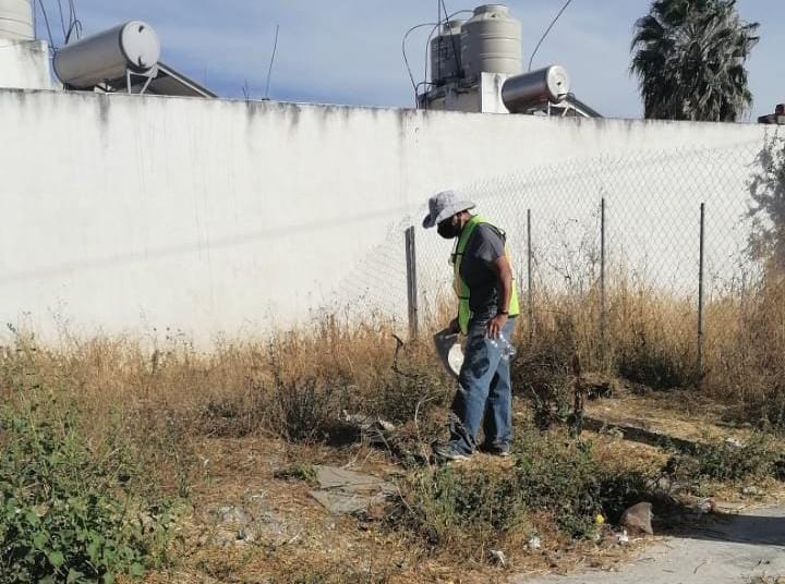 Multiplican acciones para combatir al dengue en Zamora