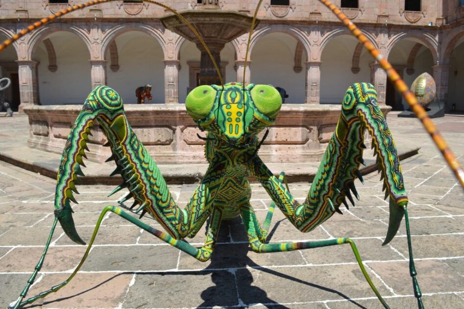 El arte huichol llega a Clavijero