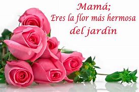Dia 10 de Mayo. Celebración especial para festejar a la MAMÁ