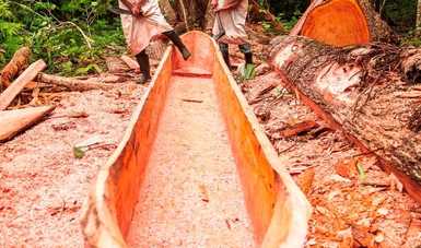 Documental Chem, maestros lacandones alista su estreno en México, a través de plataformas digitales