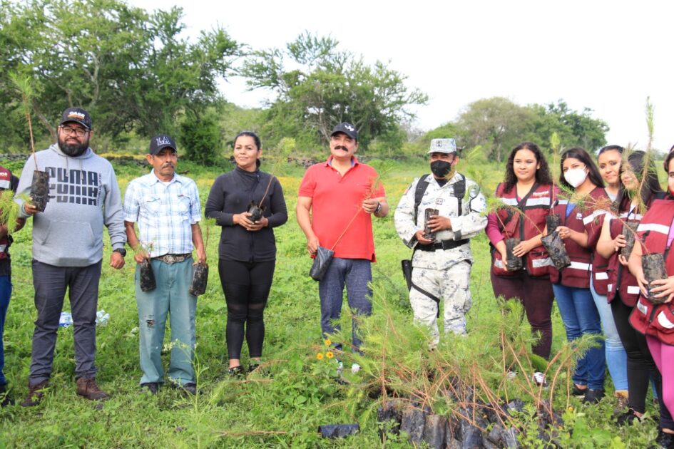 Encabeza Alcalde Zamorano reforestación en Nuevo Panteón de Ario
