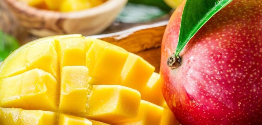 La National mango Board participa en la Cumbre de Productores de Mango impulsada por la sociedad Hortícola del estado de Florida