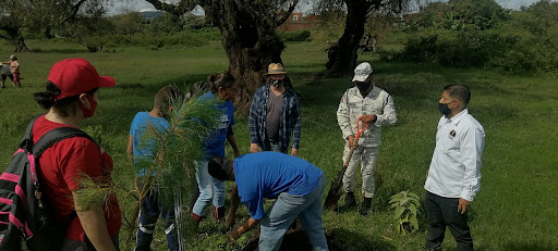 Participa Coepredv en reforestación del Parque Urbano Ecológico de Uruapan