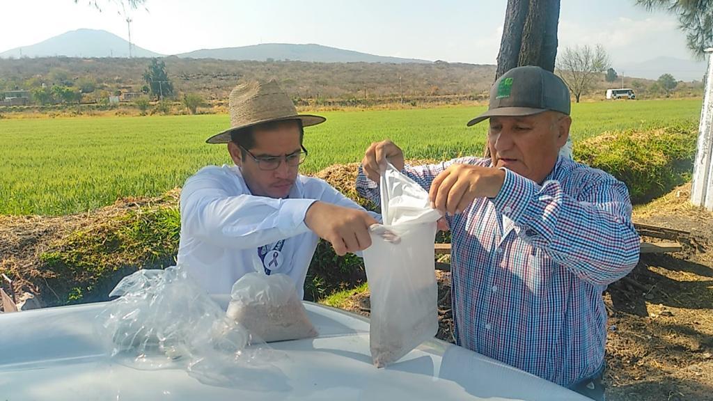 Atacan plagas en campos zamoranos