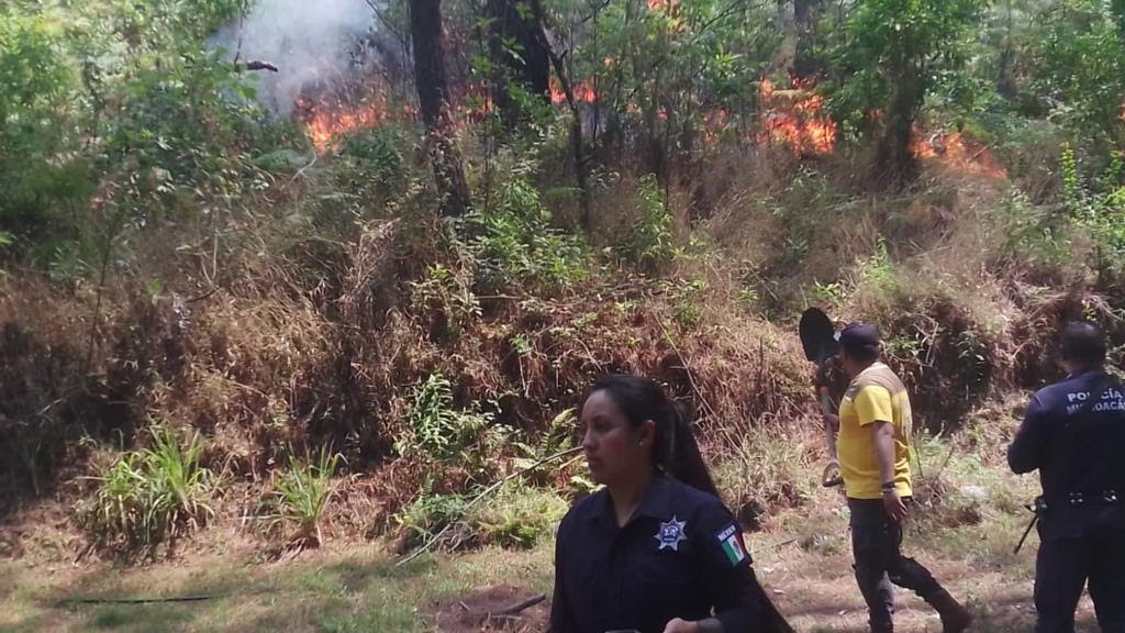 División Ambiental de la SSP trabaja para apagar el incendio en el Cerro de la Cruz