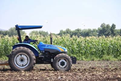 Iniciará Censo Agropecuario 2022 en Michoacán: SADER
