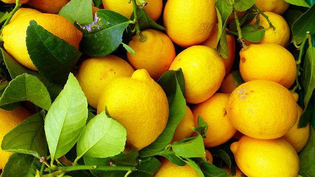 ASAJA Murcia exige estrictos controles fitosanitarios a las importaciones de limones argentinos y sudafricanos en la campaña de verano