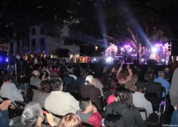 Concierto en vivo en la noche con público disfrutando música y luces en un espacio al aire libre.