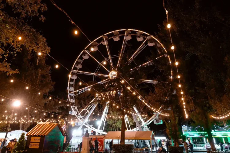 Día de Reyes Ceconexpo Morelia