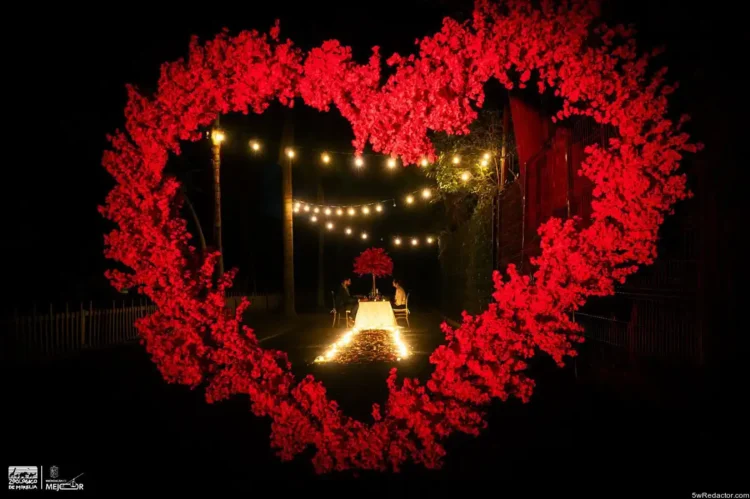 Amor en forma de corazón con luces y flores en evento nocturno romántico.
